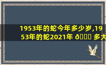 1953年的蛇今年多少岁,1953年的蛇2021年 🍀 多大了
